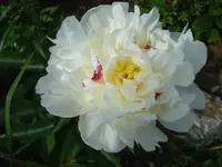 DSC01817.webp