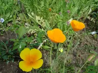 DSC01819.webp