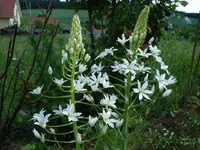 DSC01820.webp