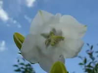 DSC01821.webp