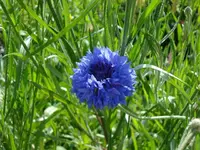 DSC01829.webp