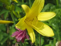 003.webp