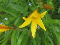 005.webp