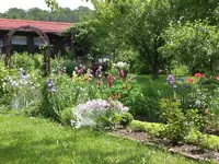 Garten Mai8 011.webp