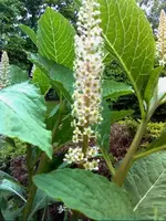 Bild0065.webp