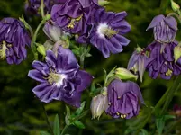 DSCI0956.webp