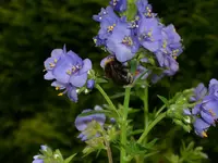 DSCI0959.webp