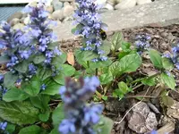DSCF3464.webp