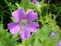DSC04491.webp