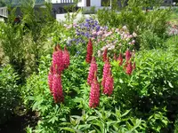 060610 008.webp