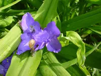 DSC04490.webp