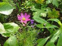 DSC04492.webp