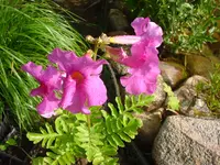DSC04494.webp