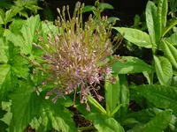 DSC04496.webp