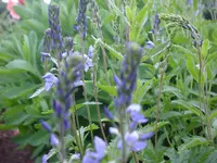 DSC04503.webp