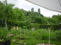 DSC04507.webp