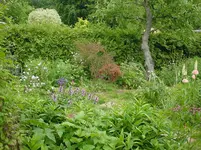 DSC04508.webp