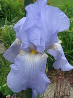 IMG_ela_576x768.webp