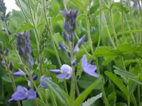 DSC04504.webp