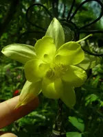 Garten 003.webp