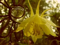 Garten 012.webp