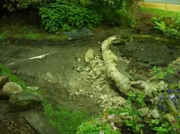 Garten 006.webp