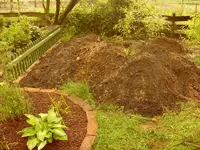 Garten 021.webp