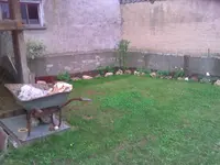 Bild250.webp