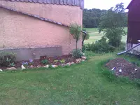 Bild251.webp