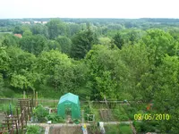 100_2478.webp