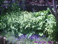 Foto2.webp