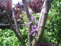Foto3.webp