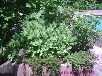 Foto4.webp
