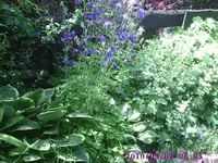 Foto5.webp