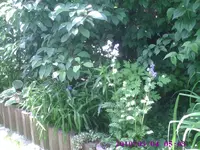 Foto6.webp