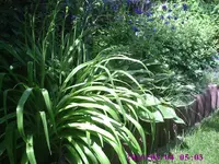 Foto7.webp