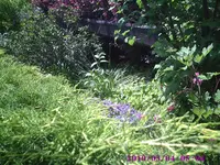 Foto9.webp