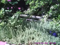 Foto10.webp