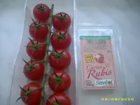 Garten 002.webp