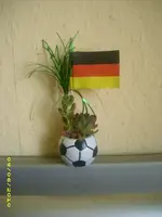 Garten 009.webp