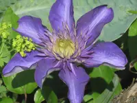 070.webp