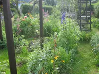 015.webp