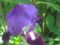 046.webp