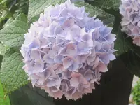 049.webp