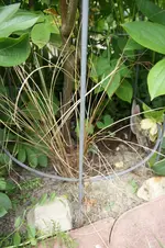 DSC03092.webp