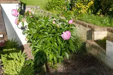 MK4_2777.webp