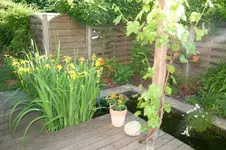 MK4_2803.webp