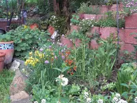 CIMG2334.webp
