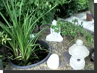 japanischer Teich.webp