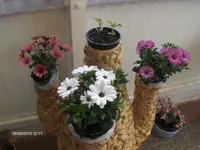HPIM4603.webp